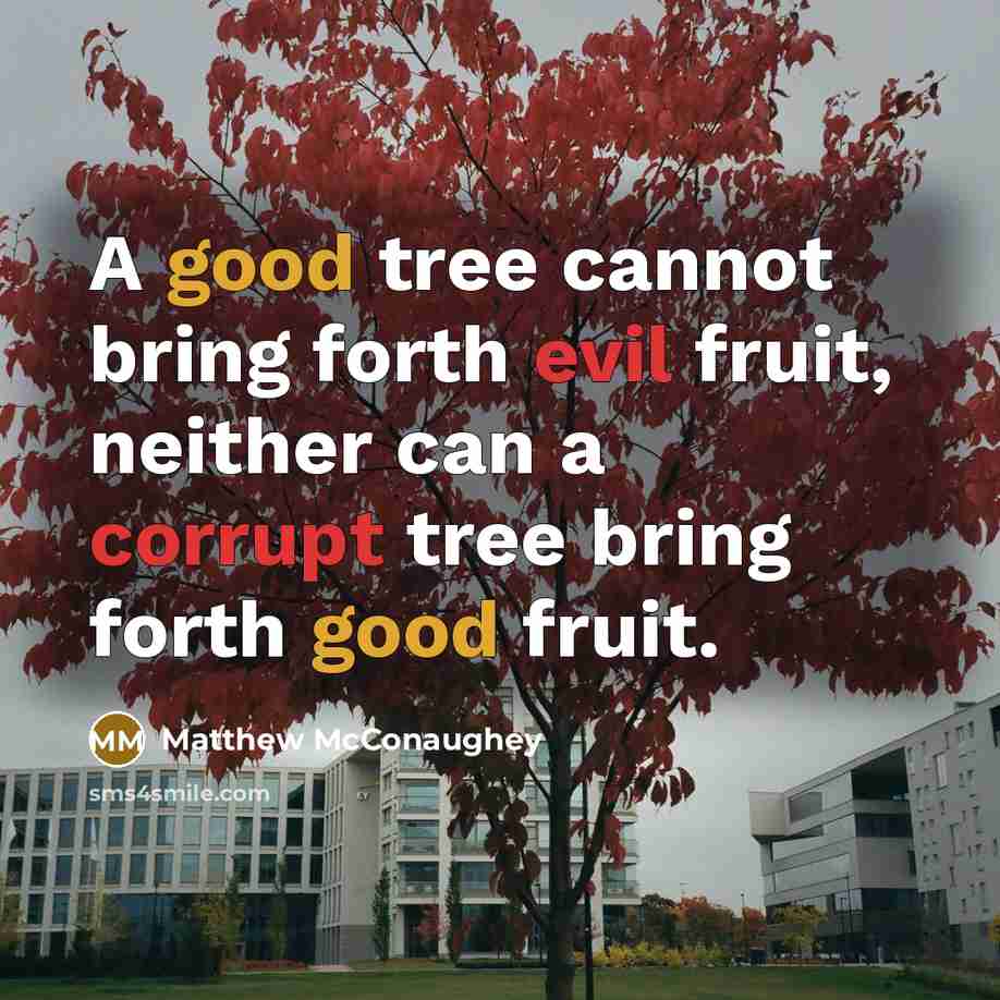 “A good tree cannot bring forth evil fruit, neither can a corrupt tree bring forth good fruit.” quote by Matthew McConaughey