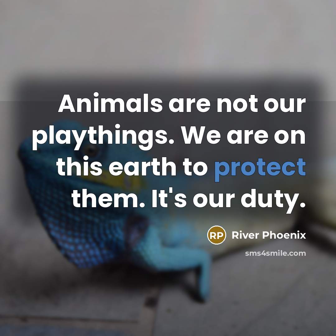 “Animals are not our playthings. We are on this earth to protect them. It's our duty.” quote by River Phoenix