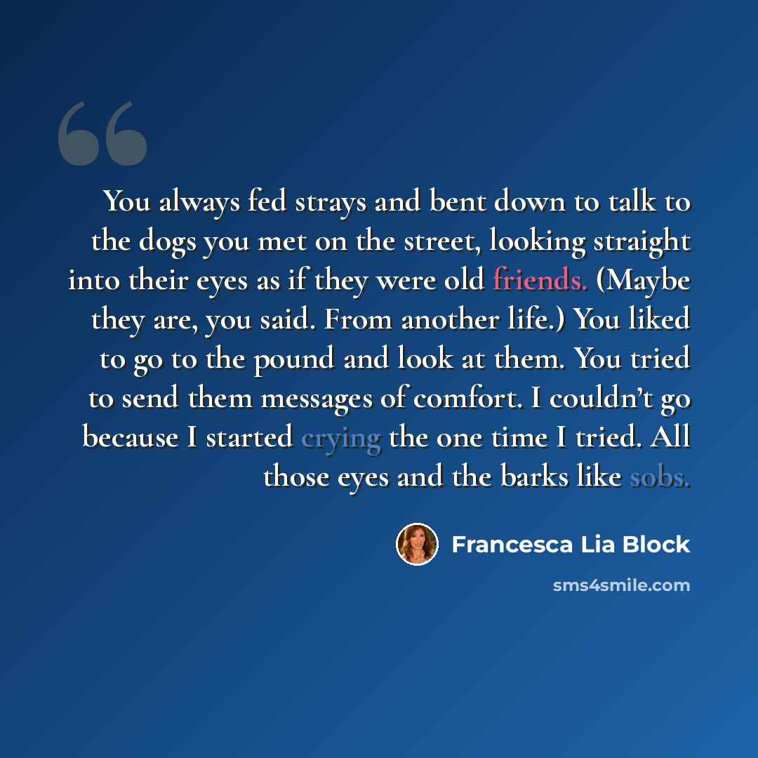 “You always fed strays and bent down to talk to the dogs you met on the street, looking straight into their eyes as if they were old friends. (Maybe they are, you said. From another life.) You liked to go to the pound and look at them. You tried to send them messages of comfort. I couldn’t go…” quote by Francesca Lia Block