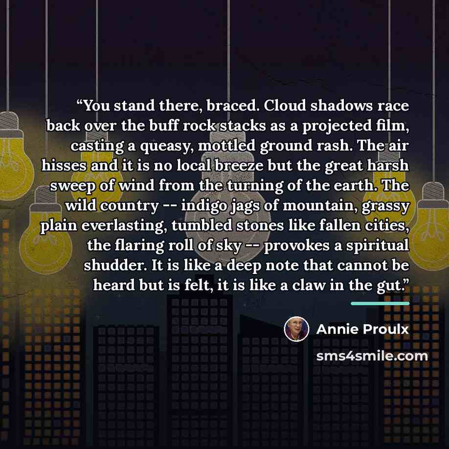 “You stand there, braced. Cloud shadows race back over the buff rock stacks as a projected film, casting a queasy, mottled ground rash. The air hisses and it is no local breeze but the great harsh sweep of wind from the turning of the earth. The wild country -- indigo jags of mountain, grassy plain…” quote by Annie Proulx