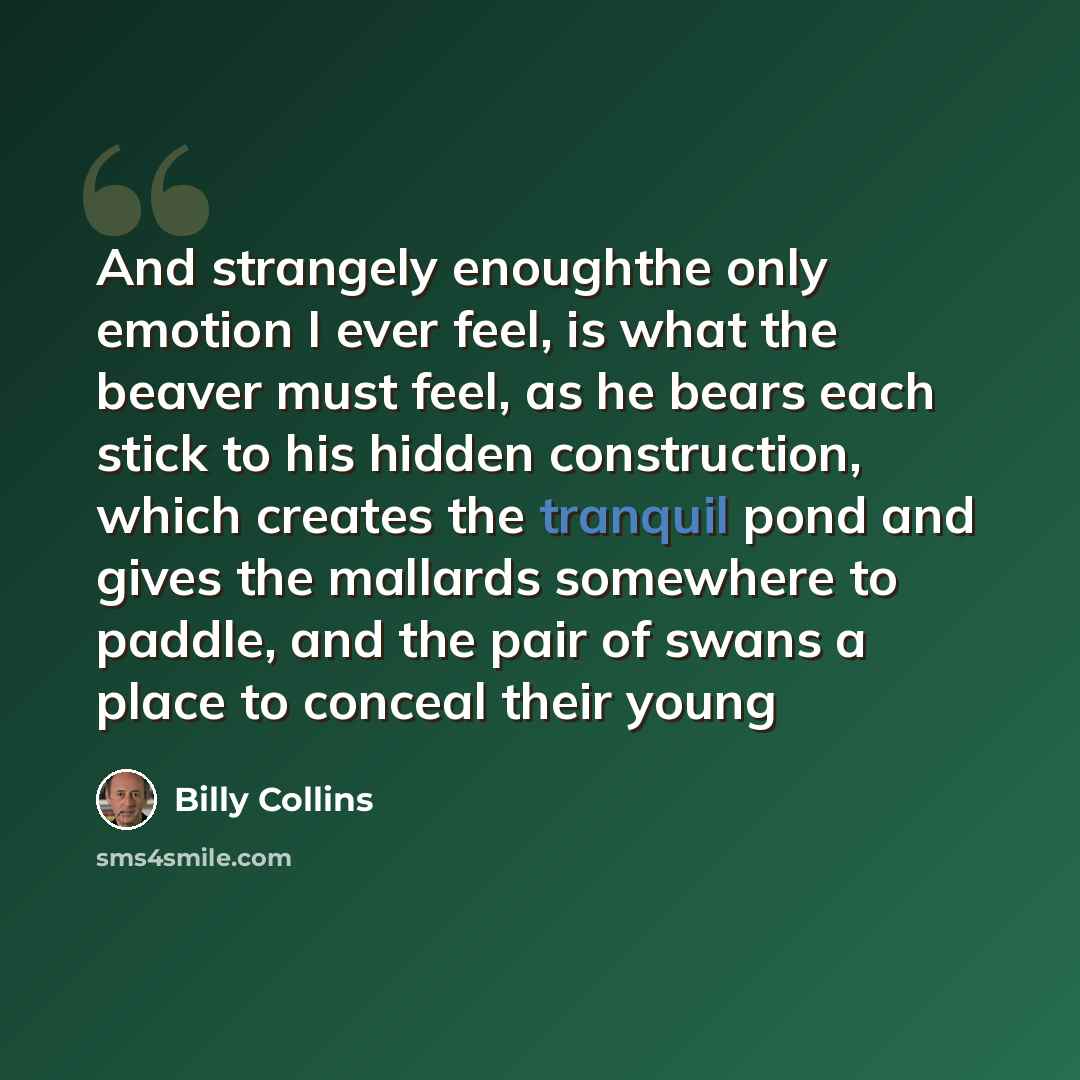 “And strangely enoughthe only emotion I ever feel, is what the beaver must feel, as he bears each stick to his hidden construction, which creates the tranquil pond and gives the mallards somewhere to paddle, and the pair of swans a place to conceal their young” quote by Billy Collins
