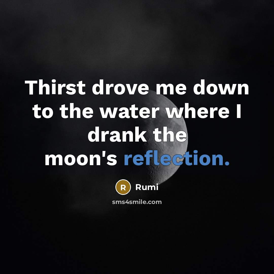 “Thirst drove me down to the water where I drank the moon's reflection.” quote by Rumi