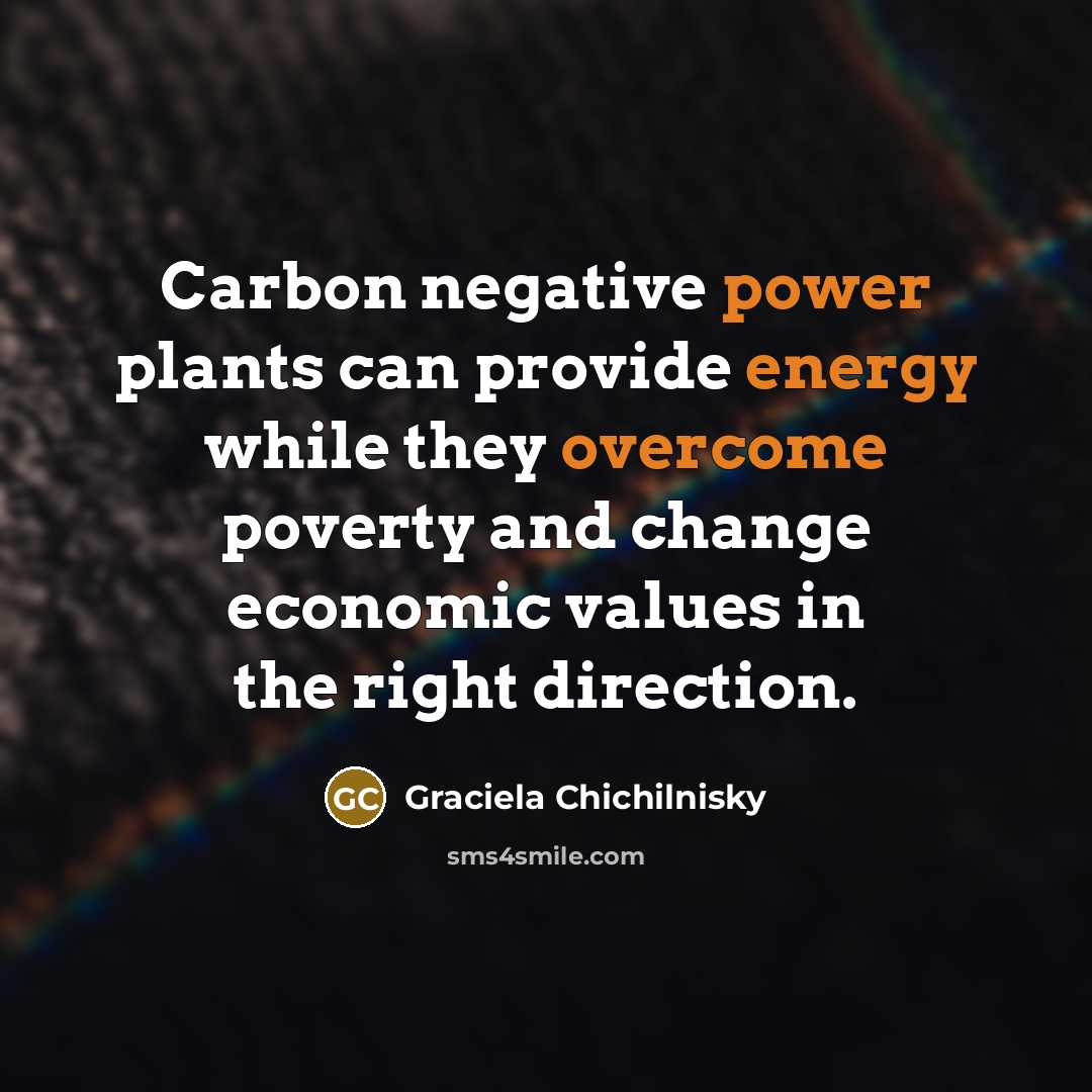 “Carbon negative power plants can provide energy while they overcome poverty and change economic values in the right direction.” quote by Graciela Chichilnisky