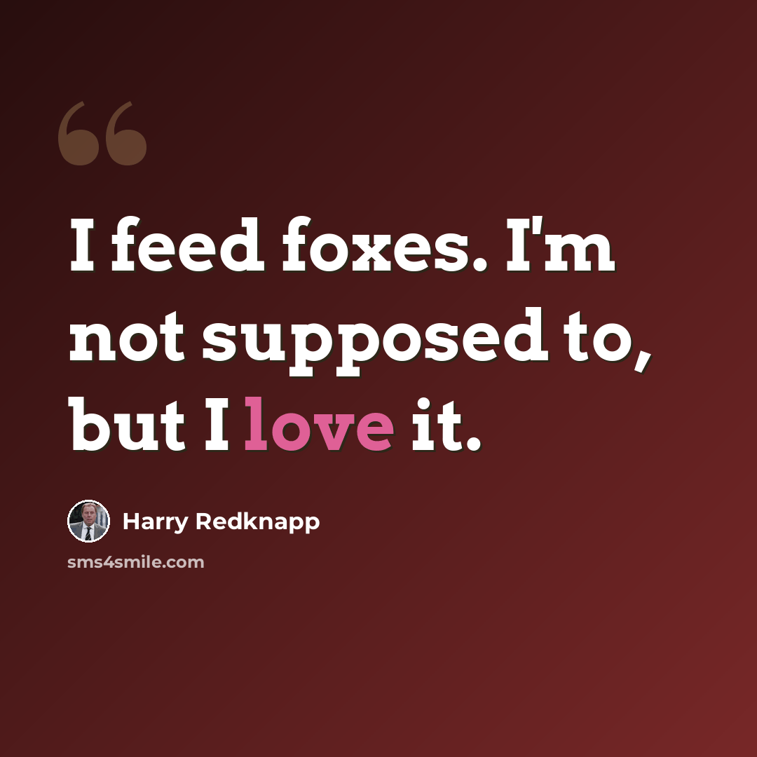 “I feed foxes. I'm not supposed to, but I love it.” quote by Harry Redknapp