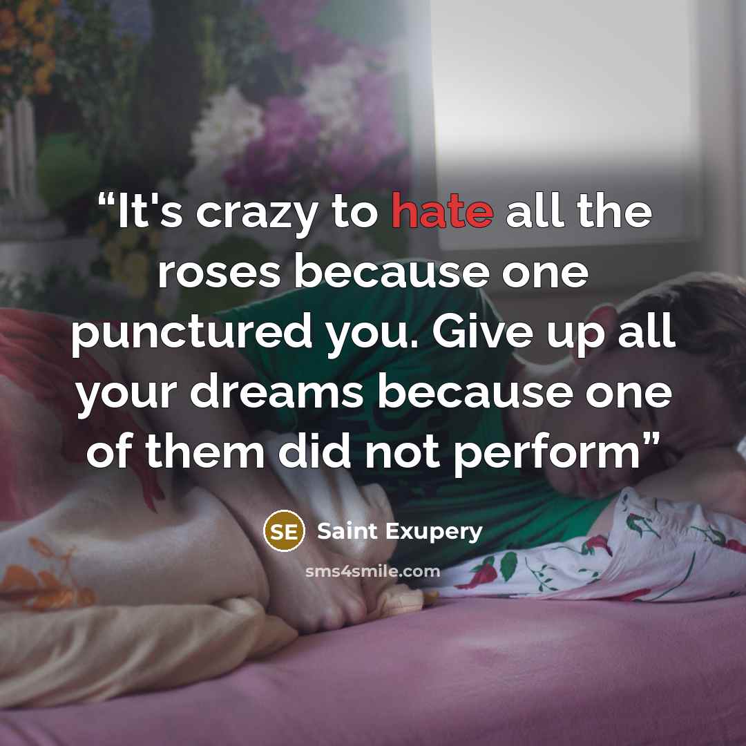 “It's crazy to hate all the roses because one punctured you. Give up all your dreams because one of them did not perform” quote by Saint Exupery