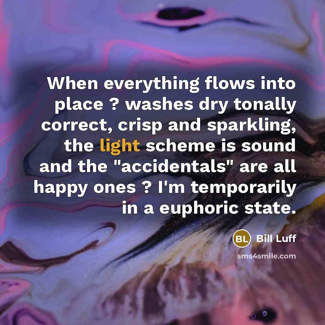 “When everything flows into place ? washes dry tonally correct, crisp and sparkling, the light scheme is sound and the "accidentals" are all happy ones ? I'm temporarily in a euphoric state.” quote by Bill Luff