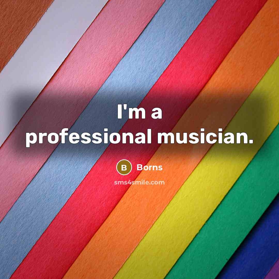 “I'm a professional musician.” quote by Borns