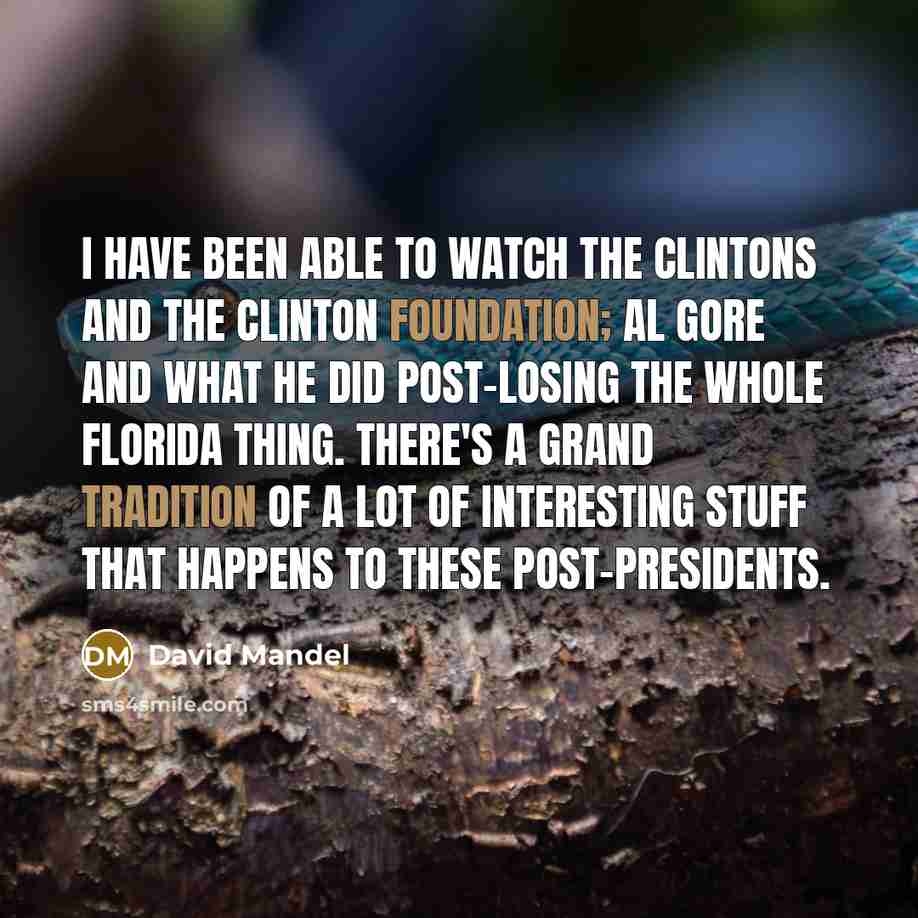 “I have been able to watch the Clintons and The Clinton Foundation; Al Gore and what he did post-losing the whole Florida thing. There's a grand tradition of a lot of interesting stuff that happens to these post-presidents.” quote by David Mandel