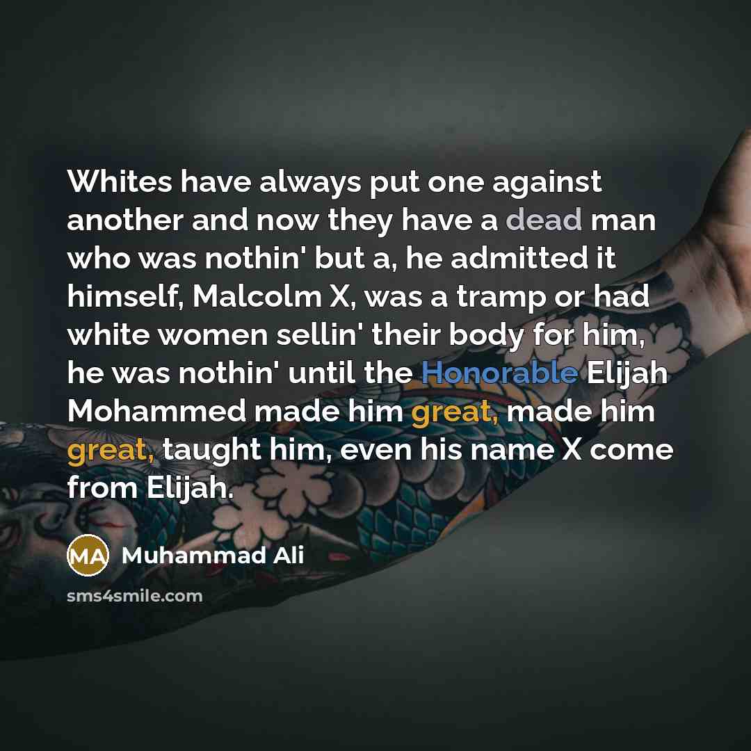 “Whites have always put one against another and now they have a dead man who was nothin' but a, he admitted it himself, Malcolm X, was a tramp or had white women sellin' their body for him, he was nothin' until the Honorable Elijah Mohammed made him great, made him great, taught him, even his name…” quote by Muhammad Ali