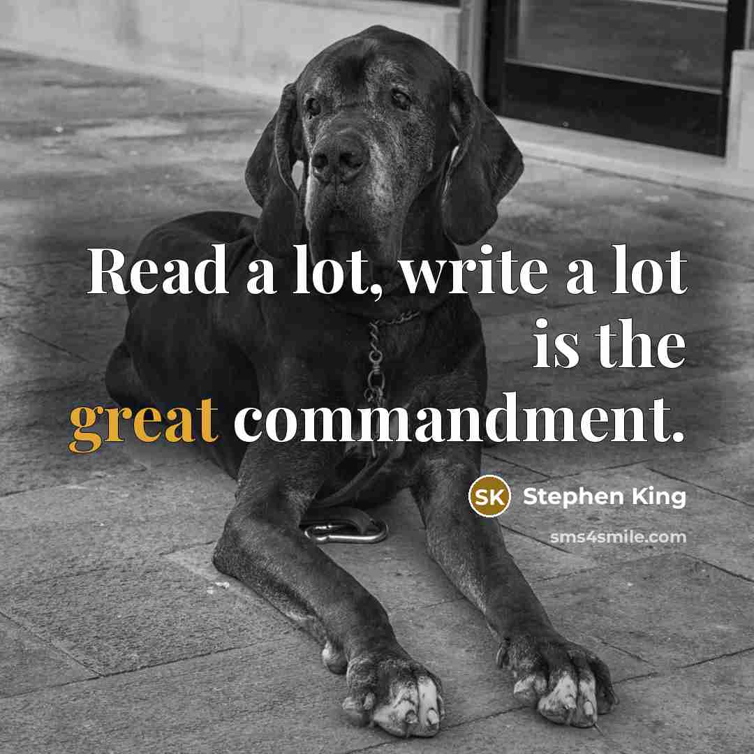 “Read a lot, write a lot is the great commandment.” quote by Stephen King