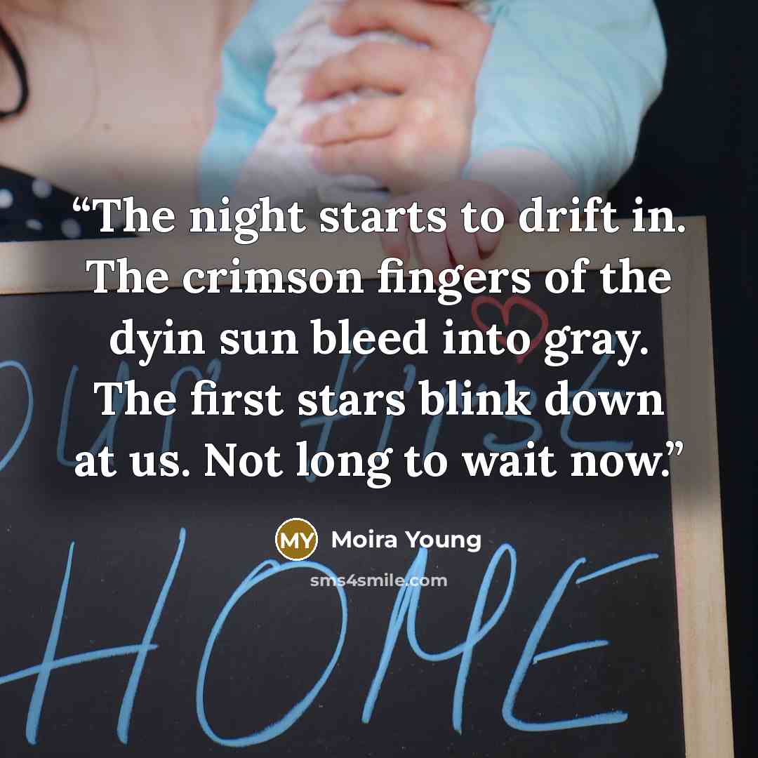 “The night starts to drift in. The crimson fingers of the dyin sun bleed into gray. The first stars blink down at us. Not long to wait now.” quote by Moira Young