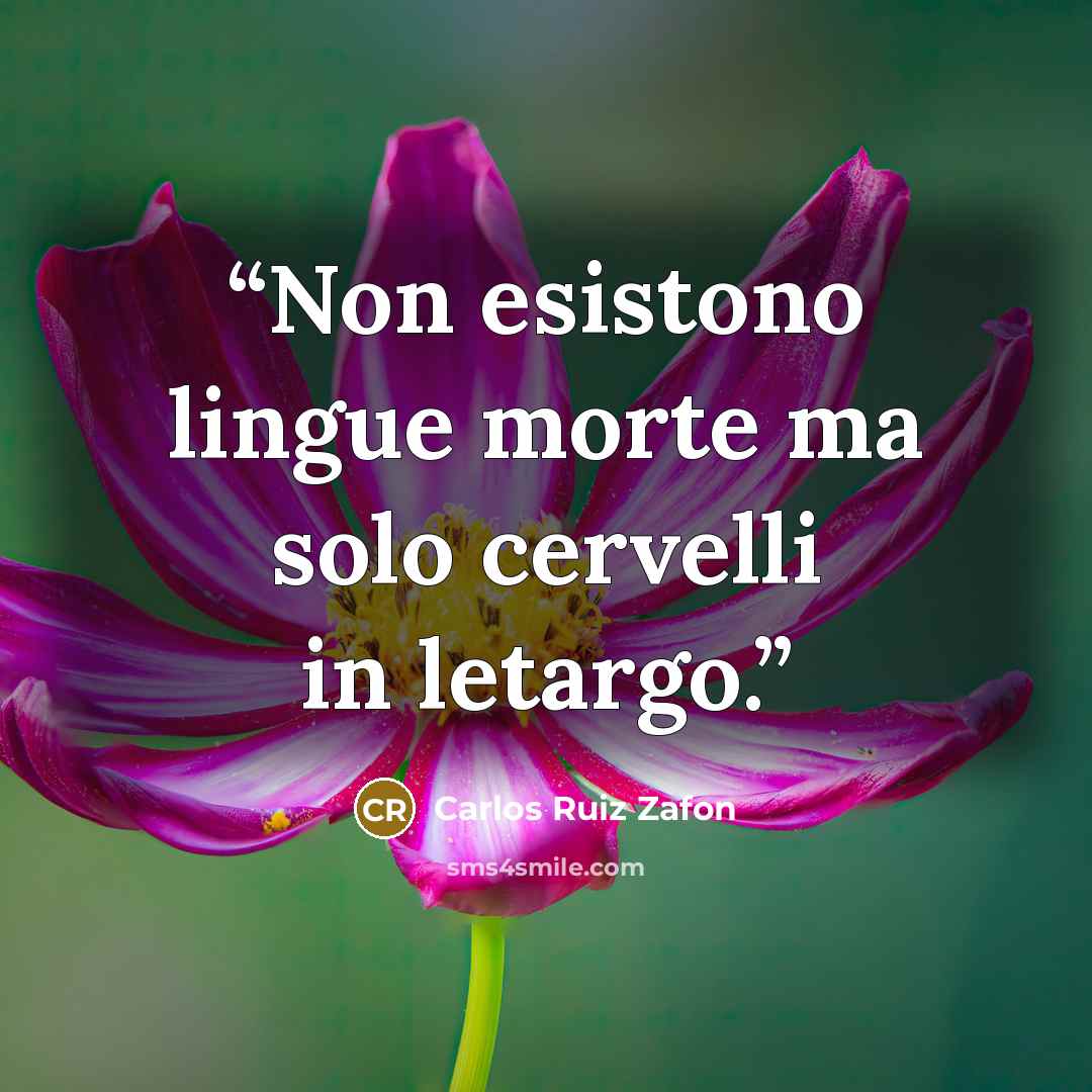 “Non esistono lingue morte ma solo cervelli in letargo.” quote by Carlos Ruiz Zafón