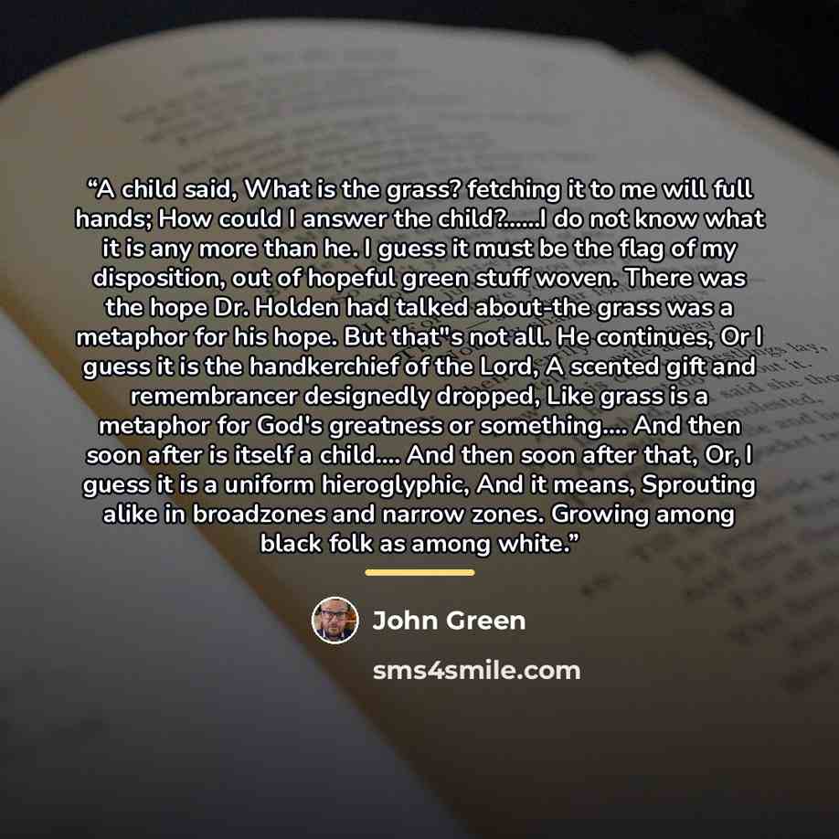 “A child said, What is the grass? fetching it to me will full hands; How could I answer the child?…I do not know what it is any more than he. I guess it must be the flag of my disposition, out of hopeful green stuff woven. There was the hope Dr. Holden had talked about-the grass was a metaphor for…” quote by John Green