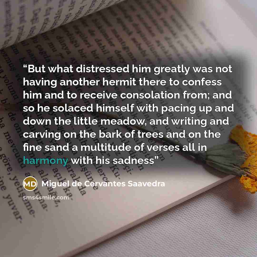 “But what distressed him greatly was not having another hermit there to confess him and to receive consolation from; and so he solaced himself with pacing up and down the little meadow, and writing and carving on the bark of trees and on the fine sand a multitude of verses all in harmony with his…” quote by Miguel de Cervantes Saavedra