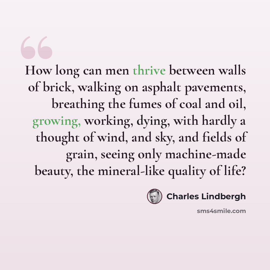 “How long can men thrive between walls of brick, walking on asphalt pavements, breathing the fumes of coal and oil, growing, working, dying, with hardly a thought of wind, and sky, and fields of grain, seeing only machine-made beauty, the mineral-like quality of life?” quote by Charles Lindbergh