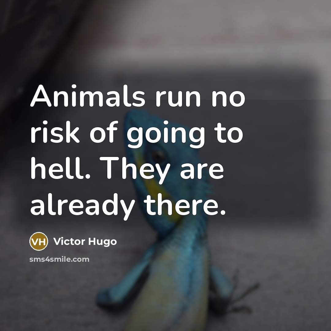 “Animals run no risk of going to hell. They are already there.” quote by Victor Hugo
