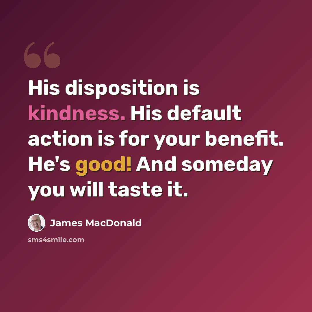 “His disposition is kindness. His default action is for your benefit. He's good! And someday you will taste it.” quote by James MacDonald