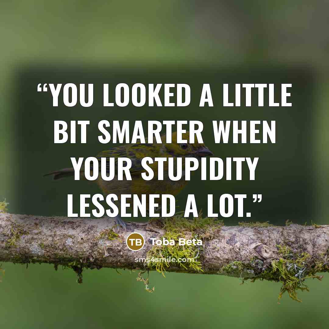 “You looked a little bit smarter when your stupidity lessened a lot.” quote by Toba Beta