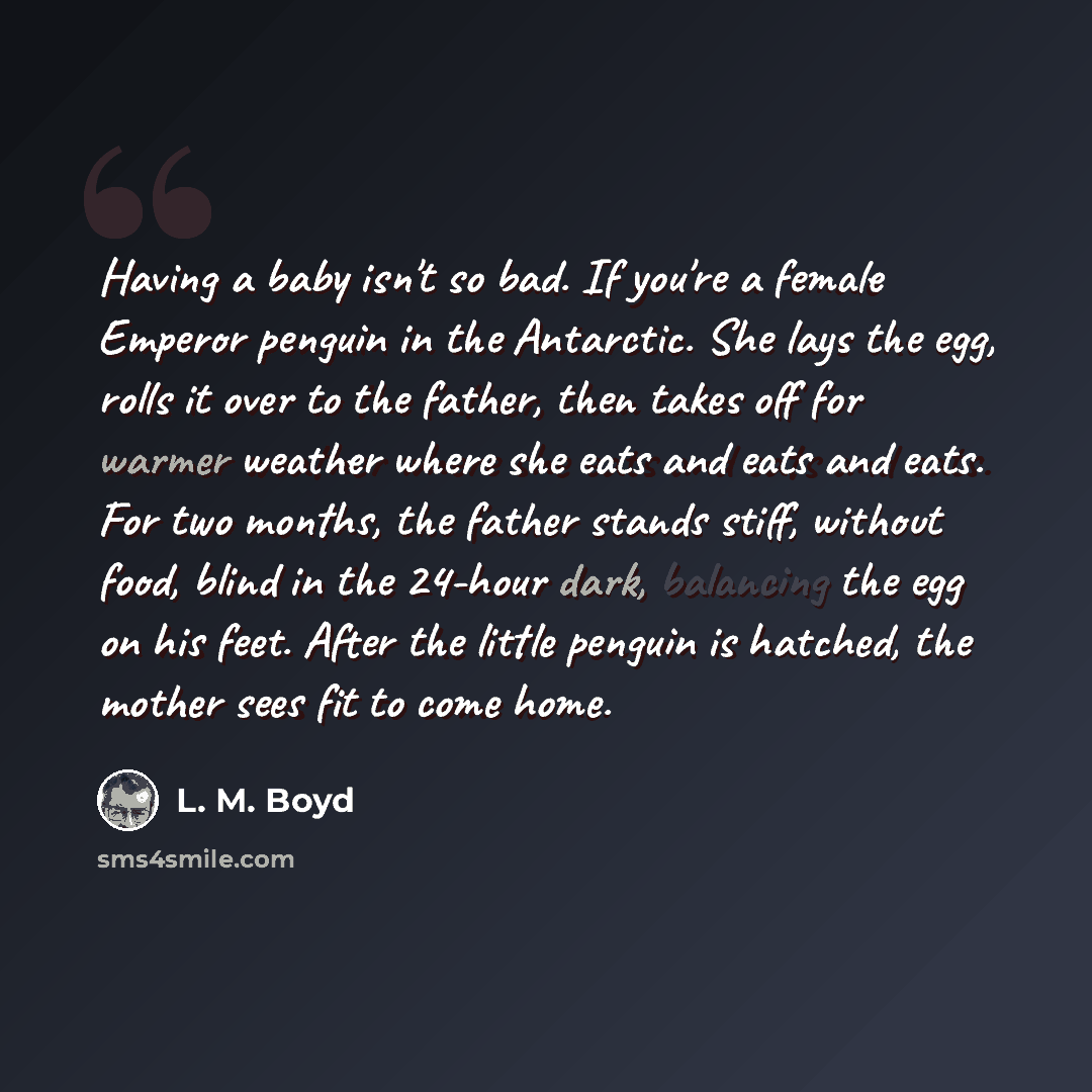 “Having a baby isn't so bad. If you're a female Emperor penguin in the Antarctic. She lays the egg, rolls it over to the father, then takes off for warmer weather where she eats and eats and eats. For two months, the father stands stiff, without food, blind in the 24-hour dark, balancing the egg on…” quote by L. M. Boyd