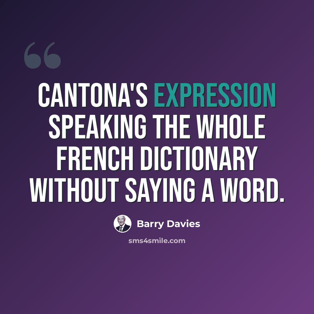 “Cantona's expression speaking the whole French dictionary without saying a word.” quote by Barry Davies