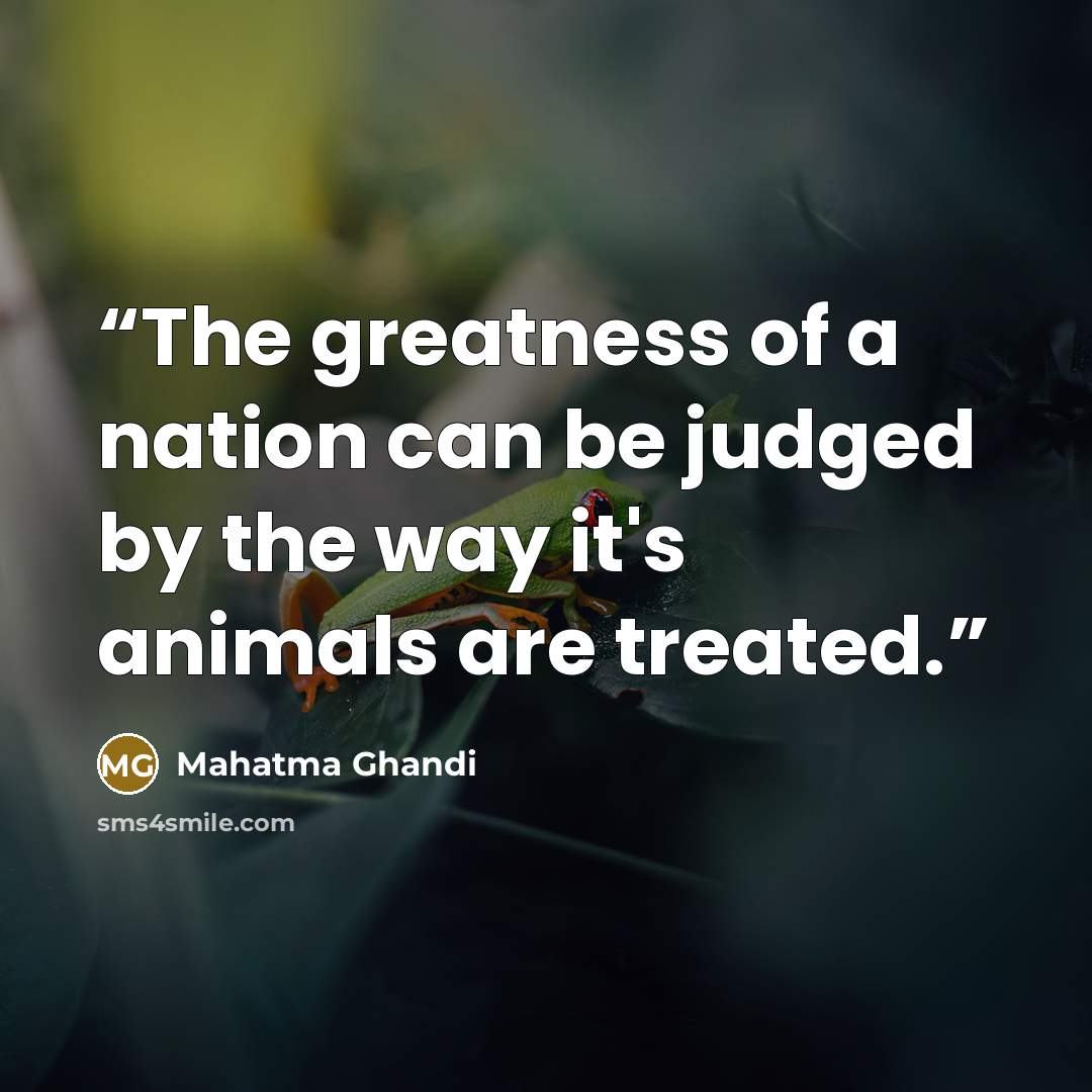 “The greatness of a nation can be judged by the way it's animals are treated.” quote by Mahatma Ghandi