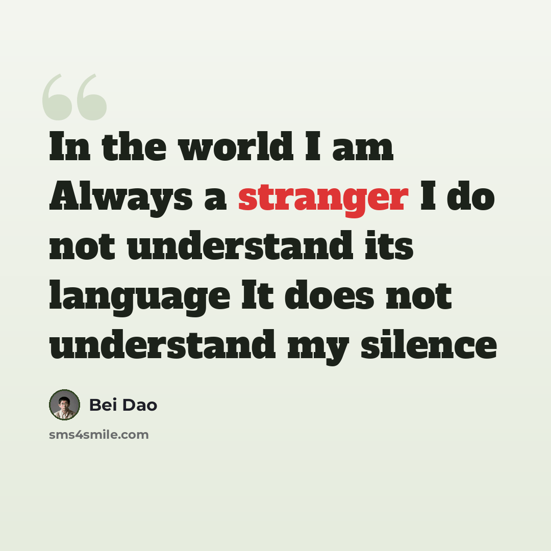 “In the world I am Always a stranger I do not understand its language It does not understand my silence” quote by Bei Dao