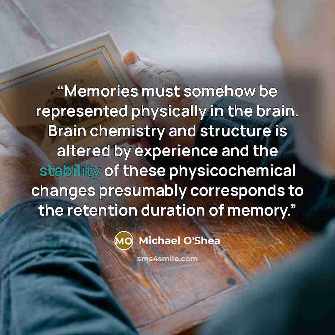 “Memories must somehow be represented physically in the brain. Brain chemistry and structure is altered by experience and the stability of these physicochemical changes presumably corresponds to the retention duration of memory.” quote by Michael O'Shea
