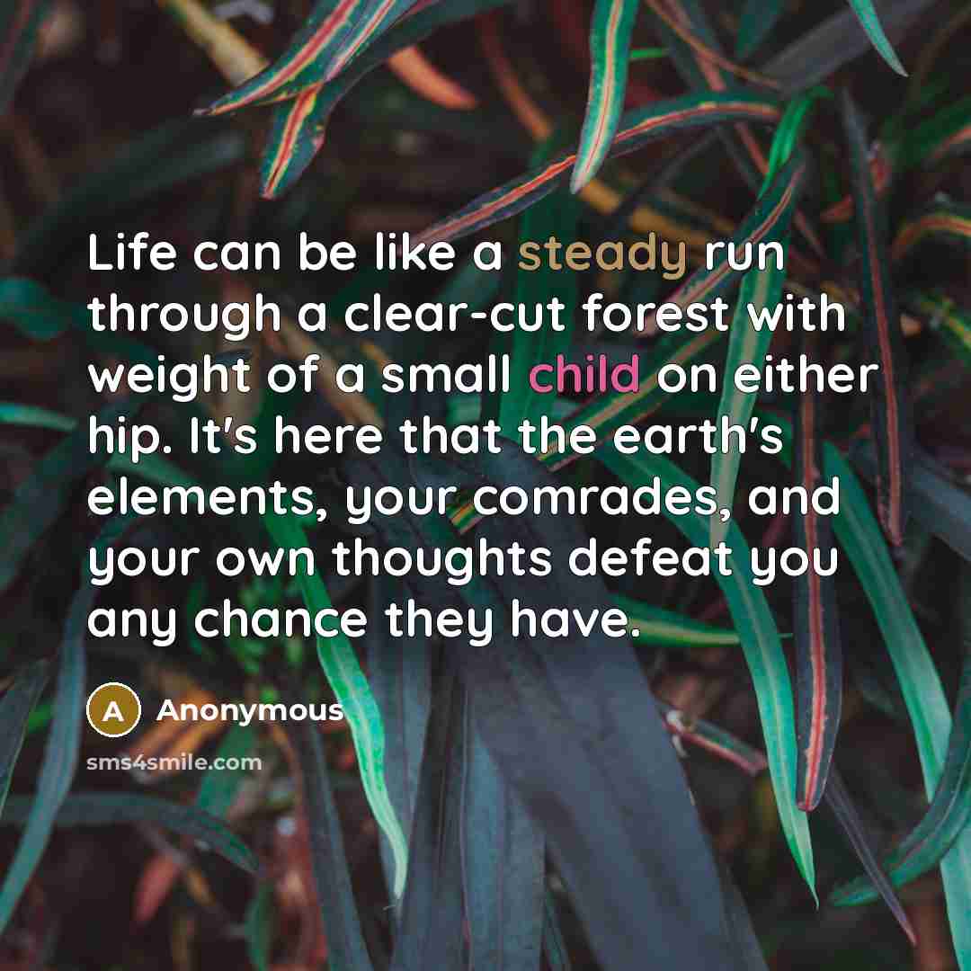 “Life can be like a steady run through a clear-cut forest with weight of a small child on either hip. It's here that the earth's elements, your comrades, and your own thoughts defeat you any chance they have.” quote by Anonymous