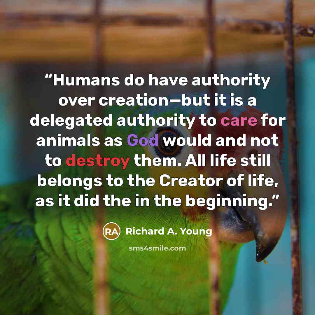 “Humans do have authority over creation—but it is a delegated authority to care for animals as God would and not to destroy them. All life still belongs to the Creator of life, as it did the in the beginning.” quote by Richard A. Young