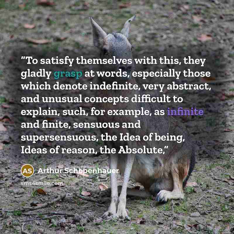 “To satisfy themselves with this, they gladly grasp at words, especially those which denote indefinite, very abstract, and unusual concepts difficult to explain, such, for example, as infinite and finite, sensuous and supersensuous, the Idea of being, Ideas of reason, the Absolute,” quote by Arthur Schopenhauer