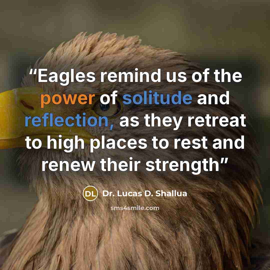 “Eagles remind us of the power of solitude and reflection, as they retreat to high places to rest and renew their strength” quote by Dr. Lucas D. Shallua