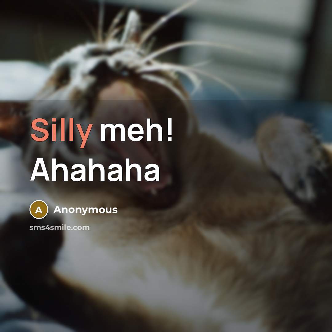 “Silly meh! Ahahaha” quote by Anonymous