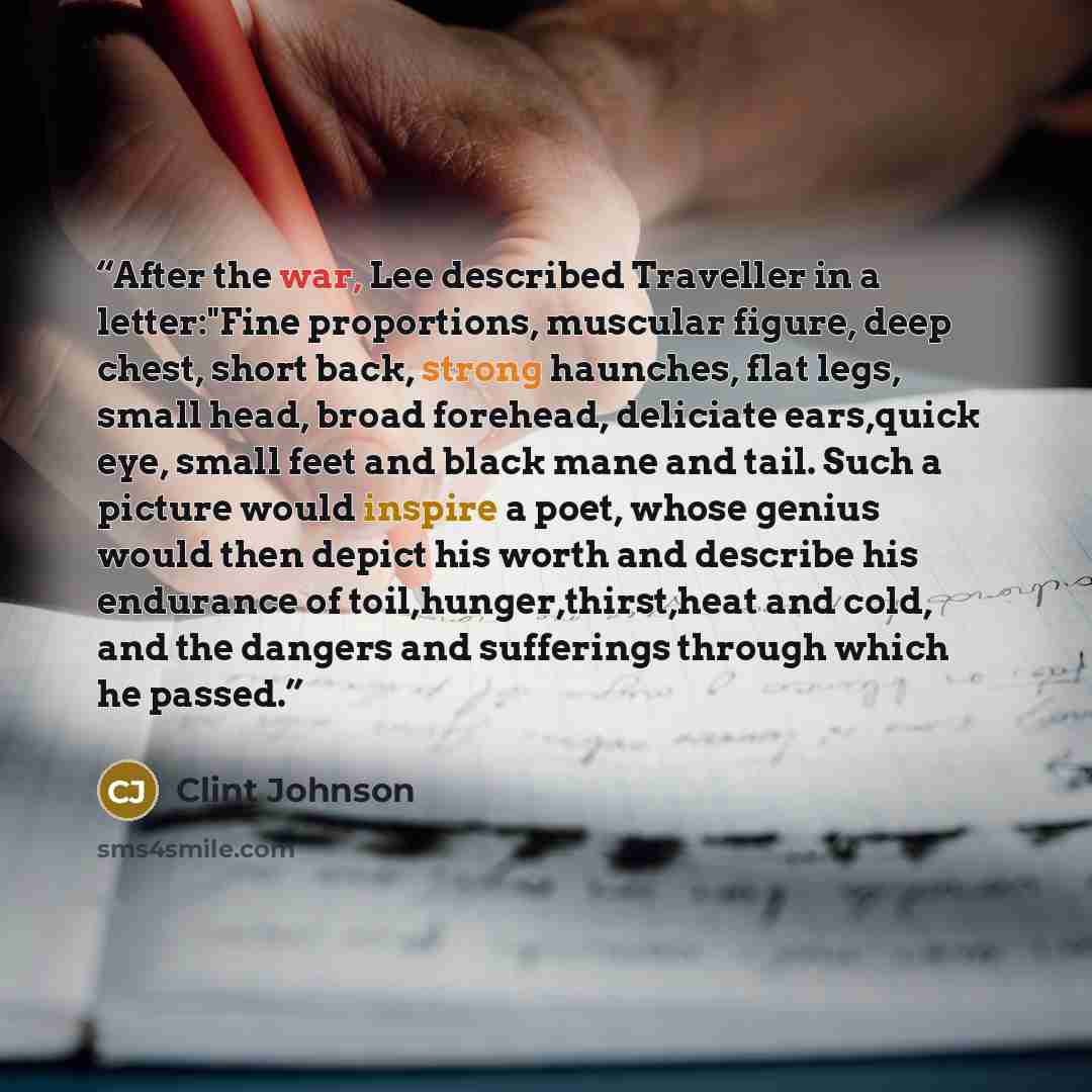 “After the war, Lee described Traveller in a letter:"Fine proportions, muscular figure, deep chest, short back, strong haunches, flat legs, small head, broad forehead, deliciate ears,quick eye, small feet and black mane and tail. Such a picture would inspire a poet, whose genius would then depict…” quote by Clint Johnson