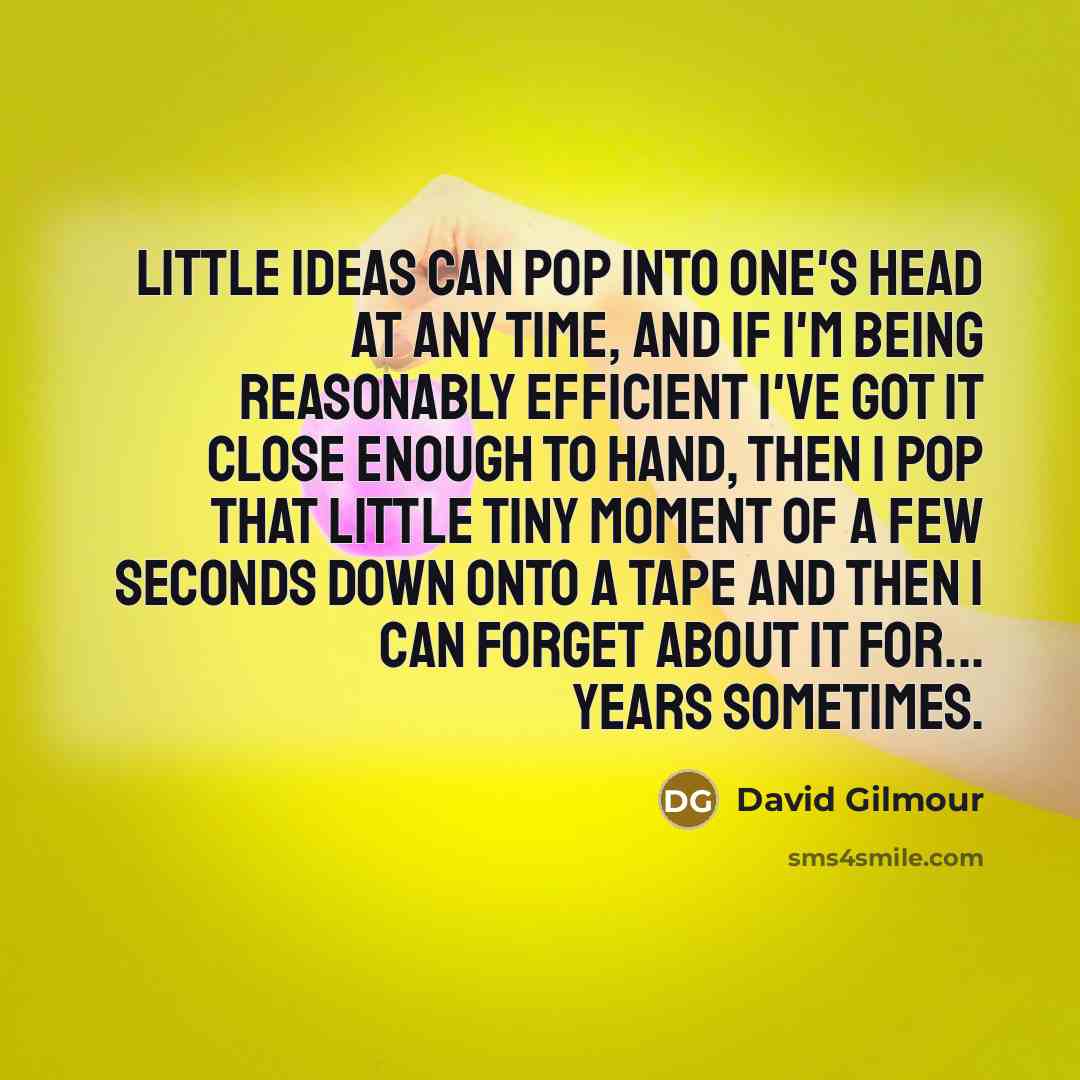 “Little ideas can pop into one's head at any time, and if I'm being reasonably efficient I've got it close enough to hand, then I pop that little tiny moment of a few seconds down onto a tape and then I can forget about it for... years sometimes.” quote by David Gilmour