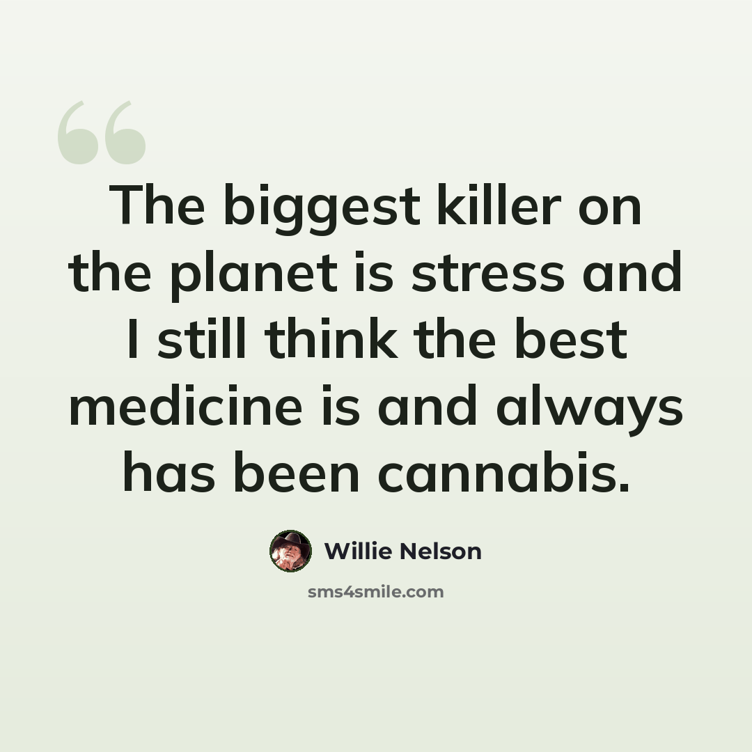 “The biggest killer on the planet is stress and I still think the best medicine is and always has been cannabis.” quote by Willie Nelson