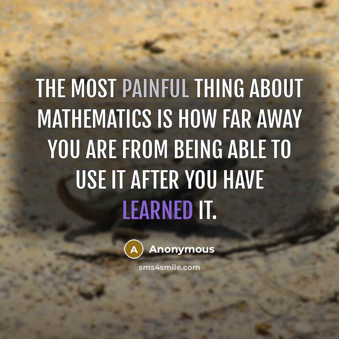 “The most painful thing about mathematics is how far away you are from being able to use it after you have learned it.” quote by Anonymous