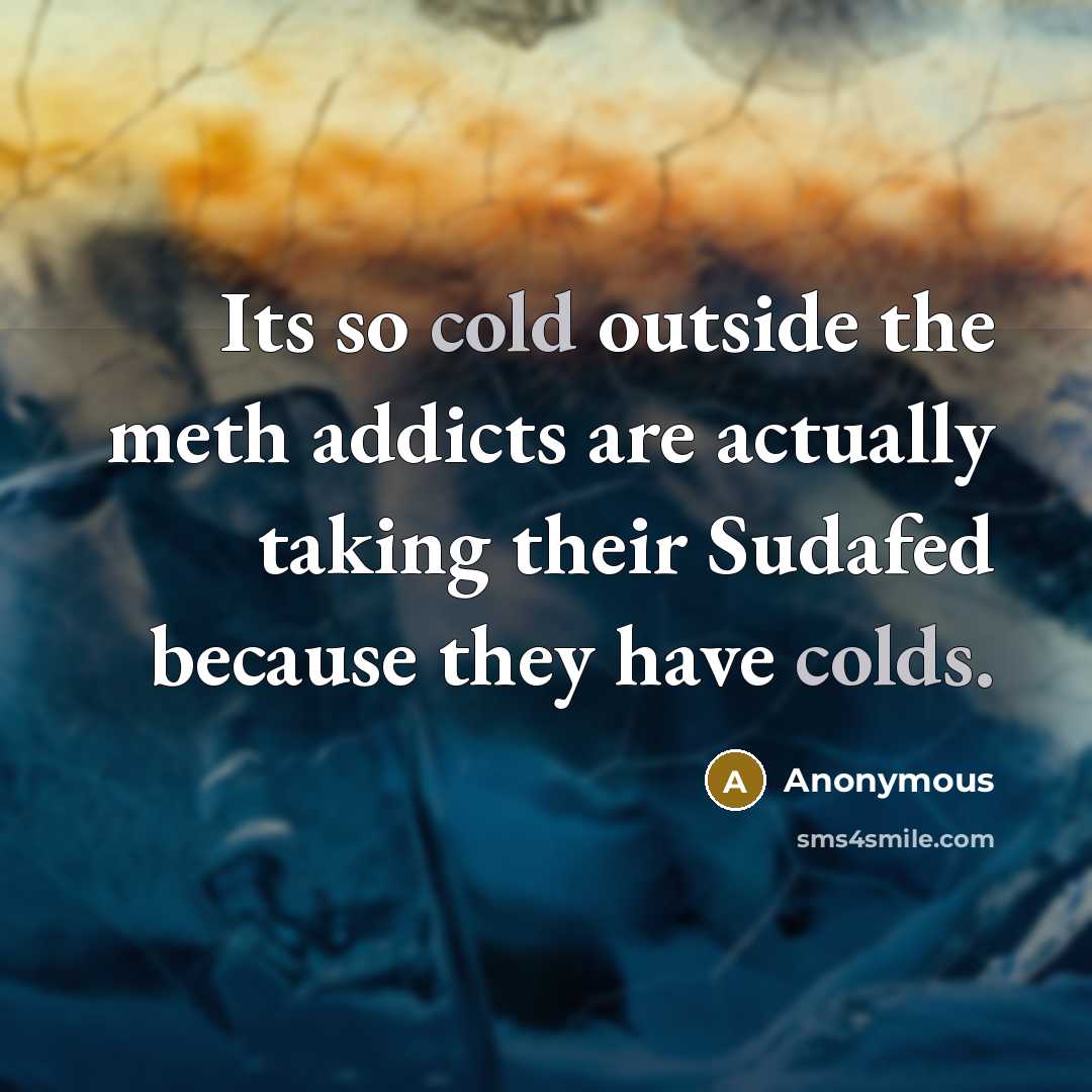 “Its so cold outside the meth addicts are actually taking their Sudafed because they have colds.” quote by Anonymous