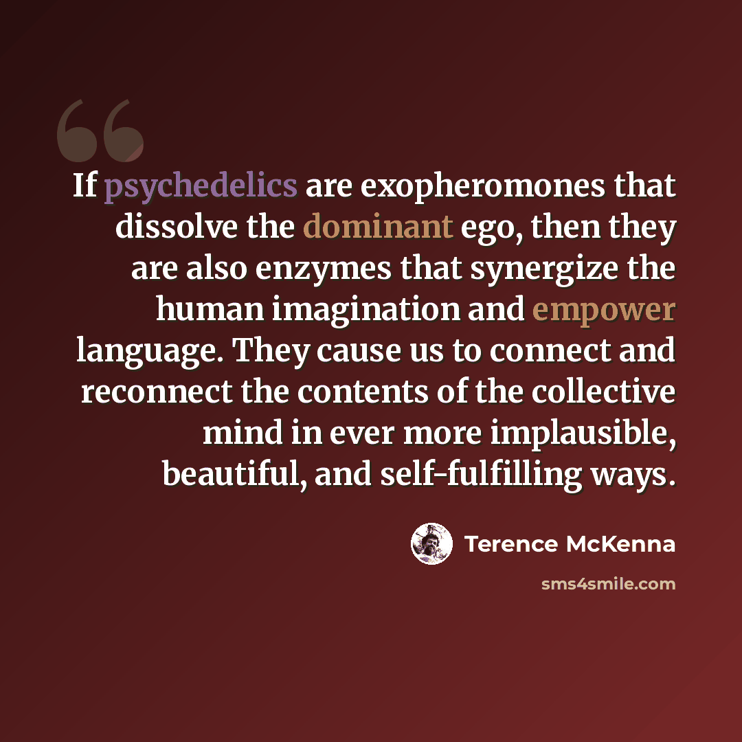 “If psychedelics are exopheromones that dissolve the dominant ego, then they are also enzymes that synergize the human imagination and empower language. They cause us to connect and reconnect the contents of the collective mind in ever more implausible, beautiful, and self-fulfilling ways.” quote by Terence McKenna