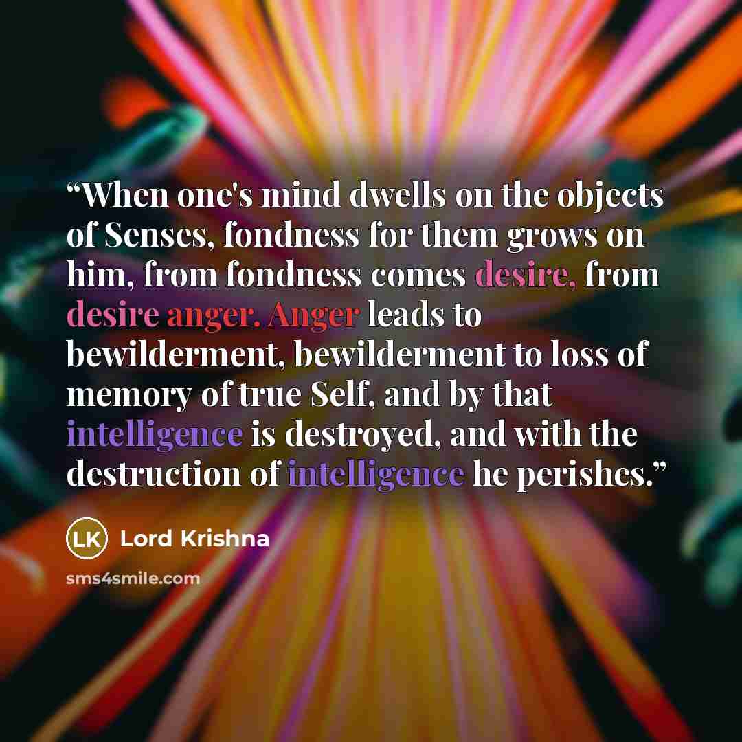 “When one's mind dwells on the objects of Senses, fondness for them grows on him, from fondness comes desire, from desire anger. Anger leads to bewilderment, bewilderment to loss of memory of true Self, and by that intelligence is destroyed, and with the destruction of intelligence he perishes.” quote by Lord Krishna