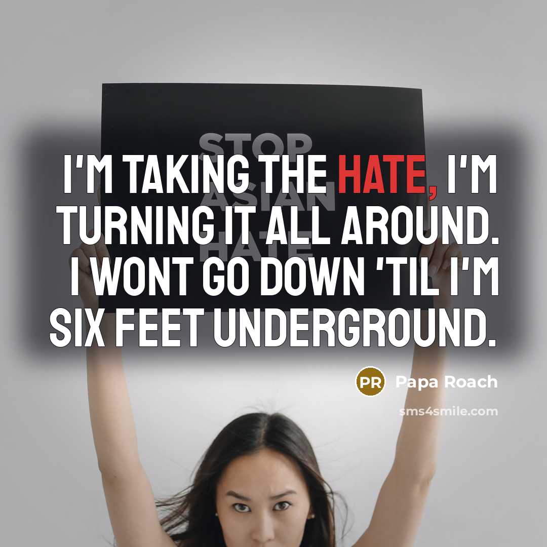 “I'm taking the hate, I'm turning it all around. I wont go down 'til I'm six feet underground.” quote by Papa Roach