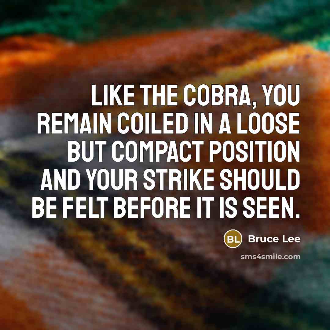 “Like the cobra, you remain coiled in a loose but compact position and your strike should be felt before it is seen.” quote by Bruce Lee