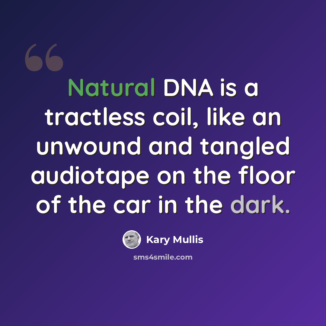“Natural DNA is a tractless coil, like an unwound and tangled audiotape on the floor of the car in the dark.” quote by Kary Mullis