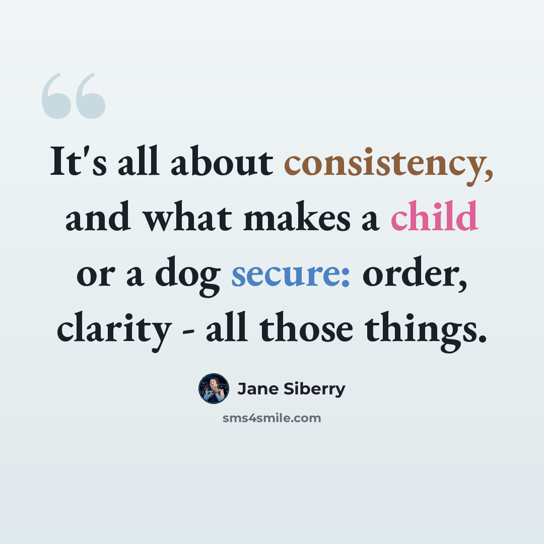 “It's all about consistency, and what makes a child or a dog secure: order, clarity - all those things.” quote by Jane Siberry