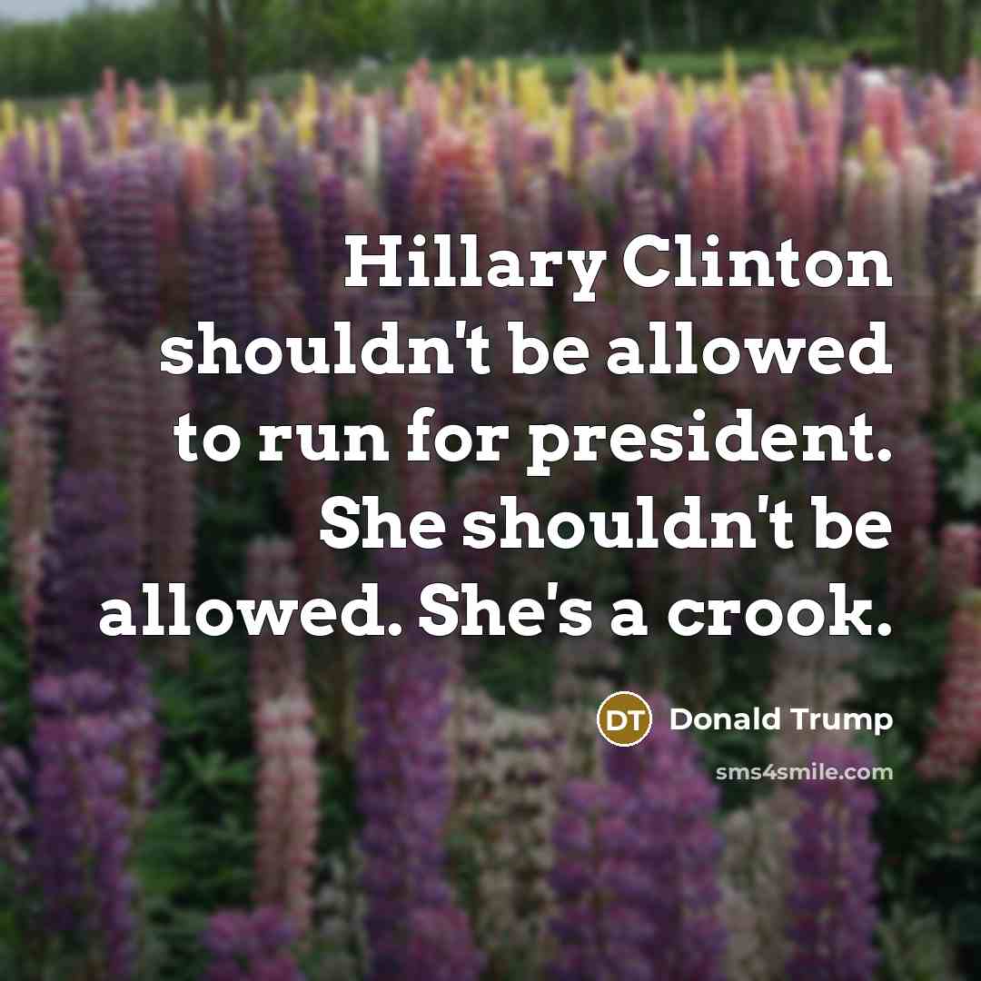 “Hillary Clinton shouldn't be allowed to run for president. She shouldn't be allowed. She's a crook.” quote by Donald Trump