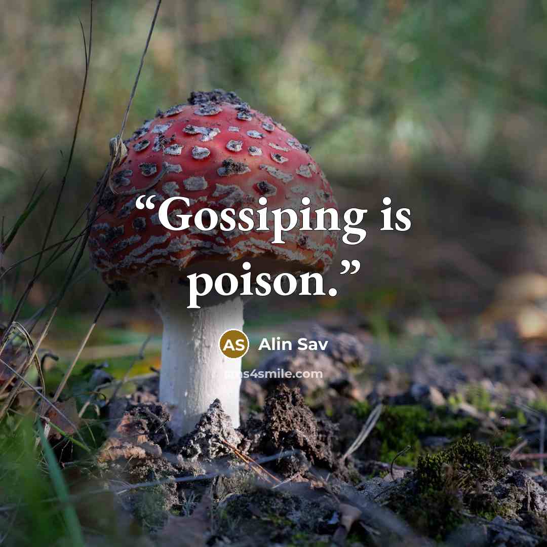 “Gossiping is poison.” quote by Alin Sav