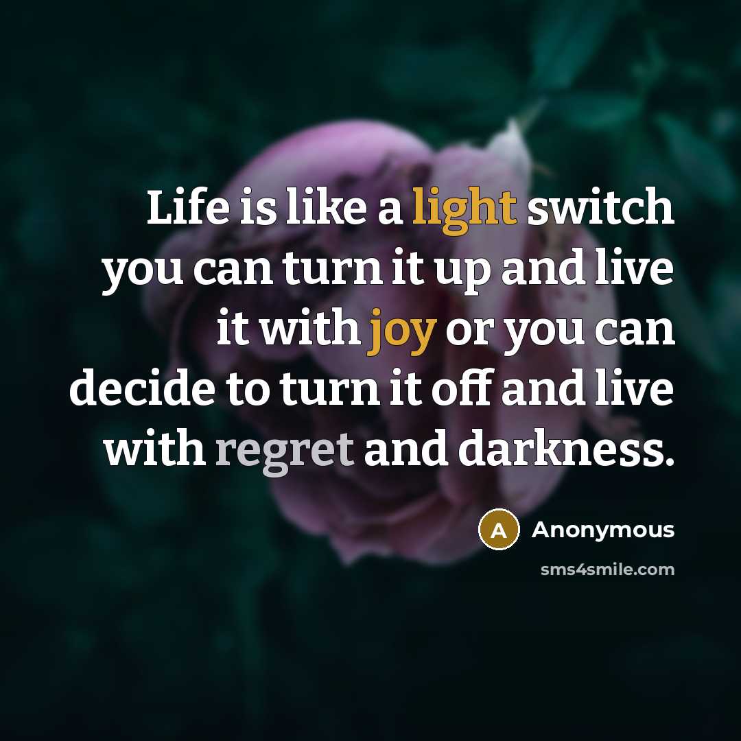 “Life is like a light switch you can turn it up and live it with joy or you can decide to turn it off and live with regret and darkness.” quote by Anonymous