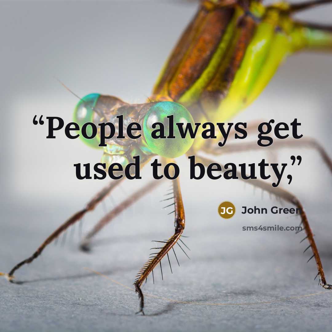 “People always get used to beauty,” quote by John Green