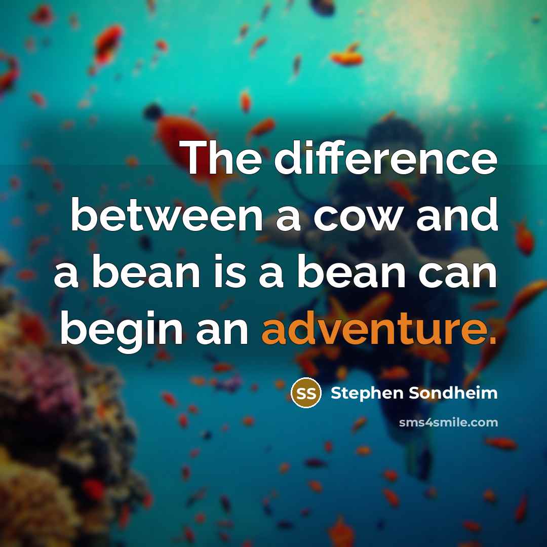 “The difference between a cow and a bean is a bean can begin an adventure.” quote by Stephen Sondheim