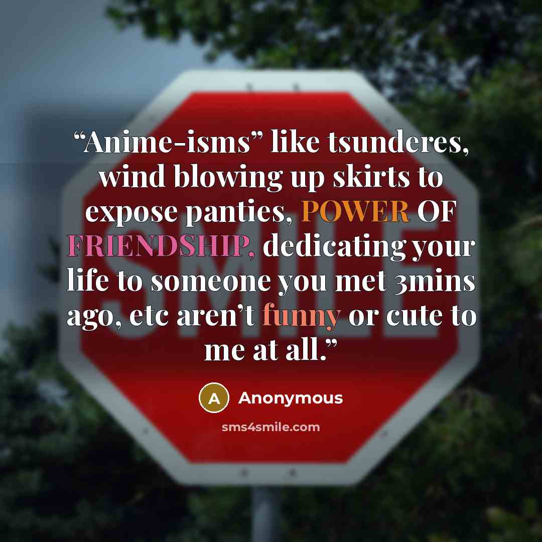 “Anime-isms” like tsunderes, wind blowing up skirts to expose panties, POWER OF FRIENDSHIP, dedicating your life to someone you met 3mins ago, etc aren’t funny or cute to me at all.” quote by Anonymous