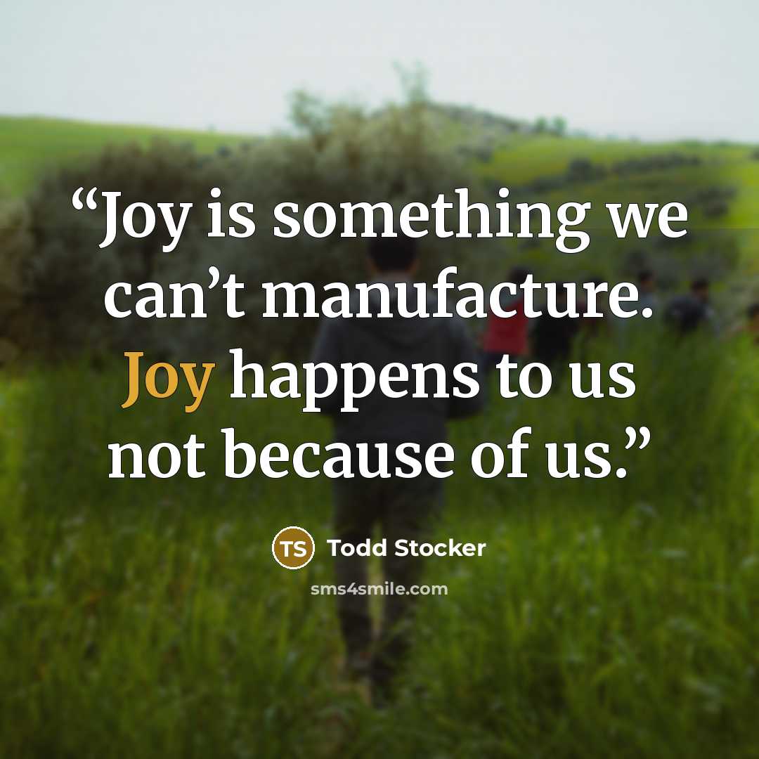 “Joy is something we can’t manufacture. Joy happens to us not because of us.” quote by Todd Stocker